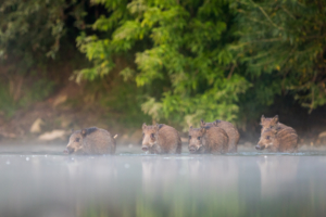 "Wesoła gromadka" - II miejsce w ubiegłorocznym konkursie